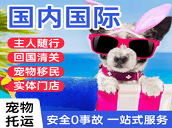静巴航空货运国际宠物托运 【国